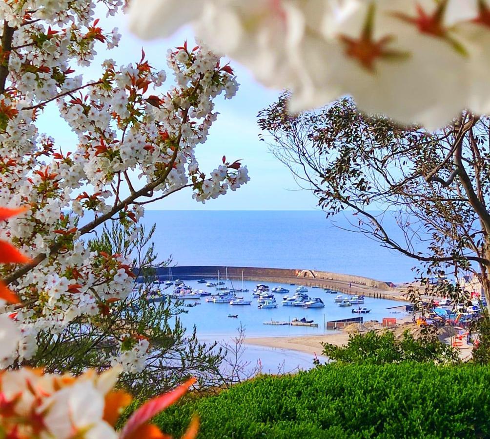 Seabreeze Apartment Лайм Риджис Екстериор снимка